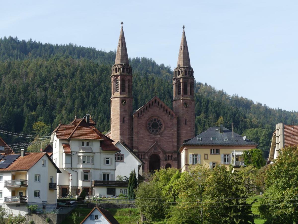 Ferienwohnungen Sonnenhalde Mit Schoener Aussicht Форбаш Экстерьер фото